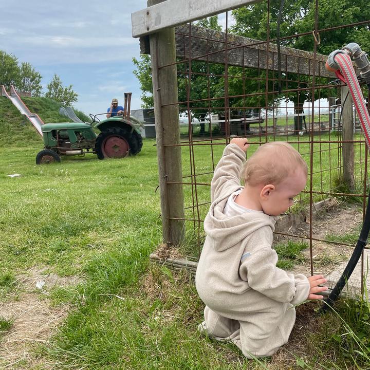 Actual product image Hoppediz Baby suit organic cotton overall (68, 74)