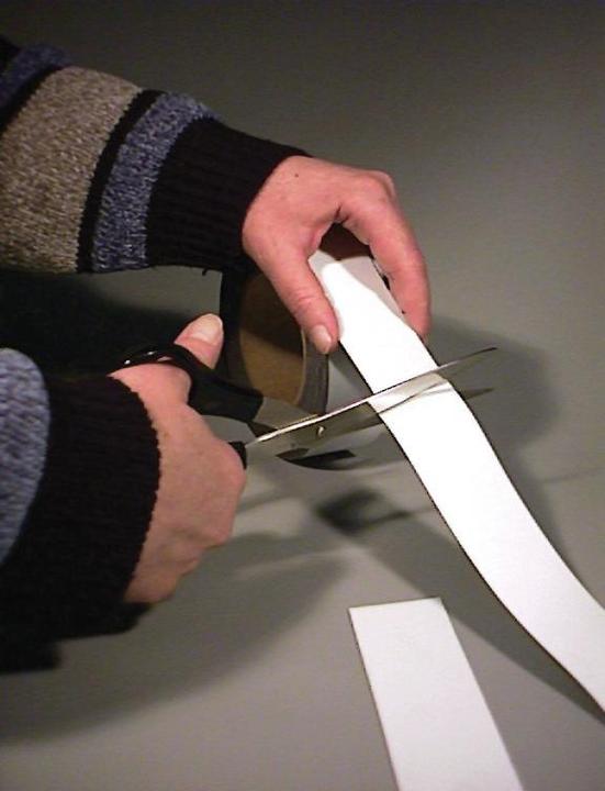 Labeling strips