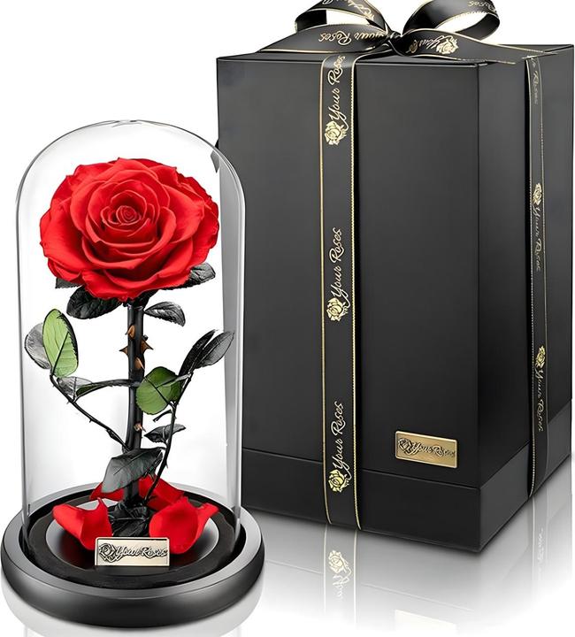 Produktbild TOP Ewige Rose im Glas (Infinity Blumen)