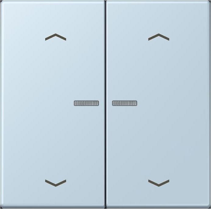 Actual product image JUNG BTLC17102P208 HOME push button