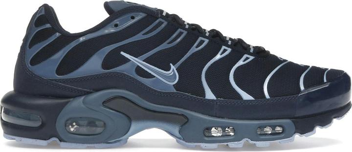 Produktbild Nike Air Max Plus Obsidian Aluminum (43)