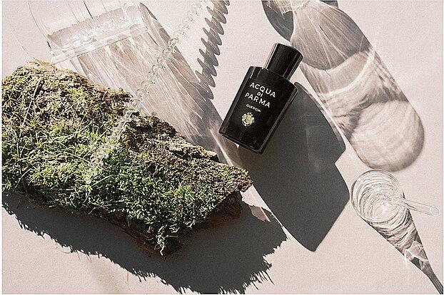 Actual product image Acqua Di Parma Quercia (Eau de parfum, 100 ml)