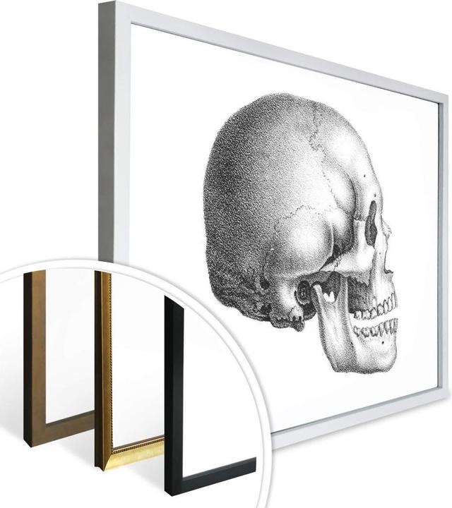 Actual product image Trenddeko Skull 01 (60 x 50 cm)