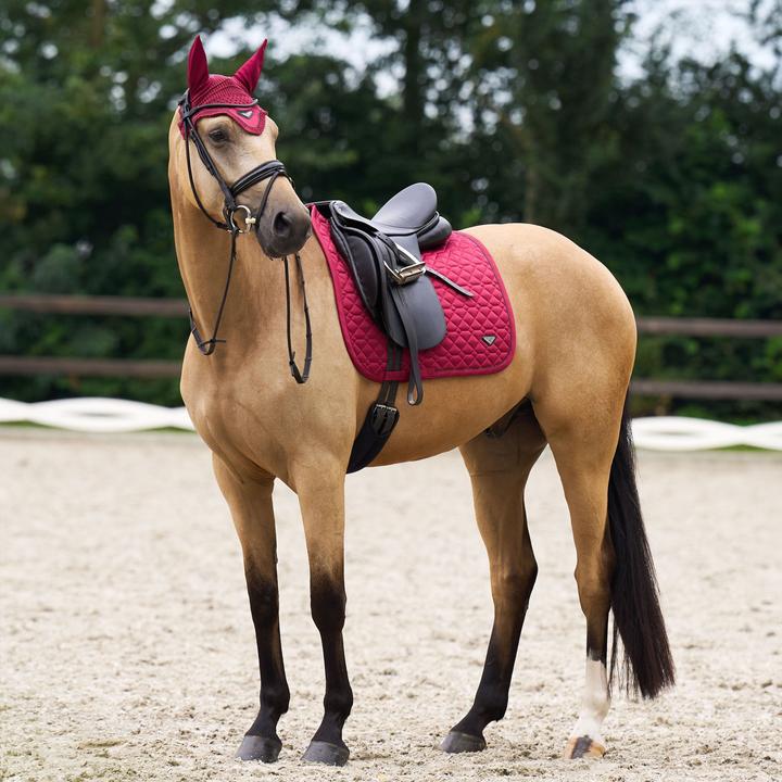 Produktbild Euro-star Cato