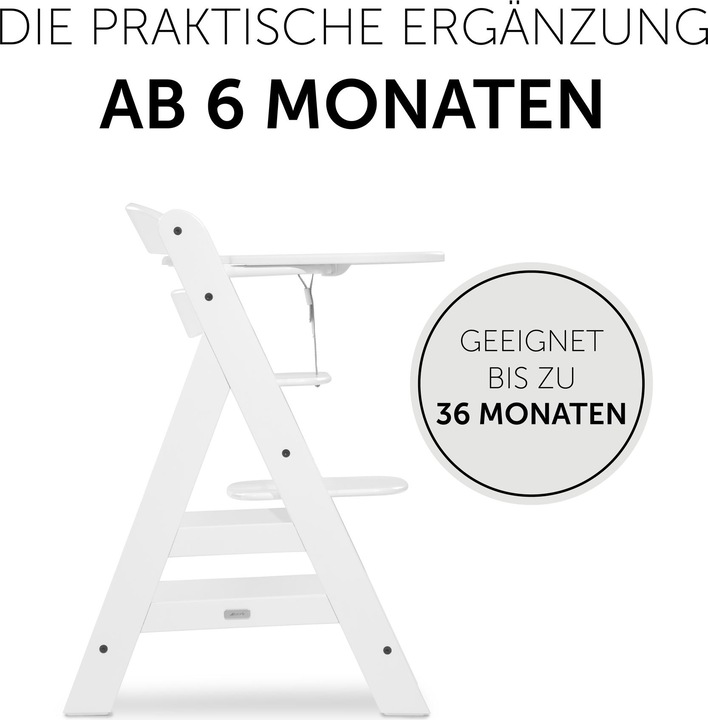 Image du produit Hauck Alpha Click Tray