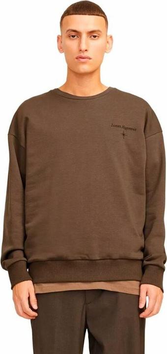 Actual product image Jack & Jones Printed sweatshirt Sweatshirt (XXL)