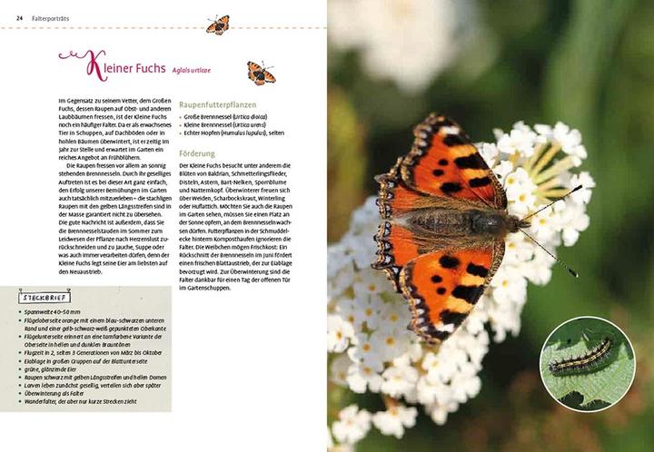 Immagine prodotto Mein Schmetterlingsgarten (Tedesco, Elke Schwarzer, 2022)