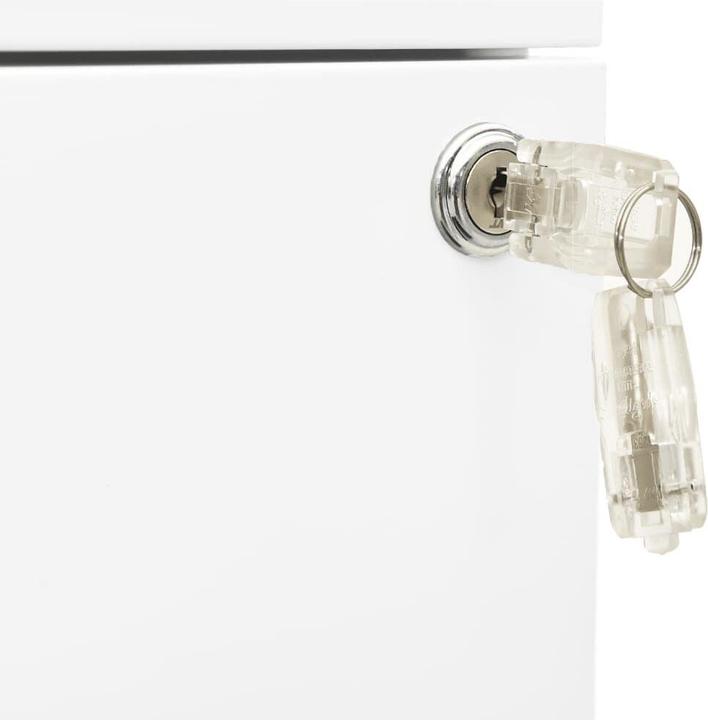 Actual product image vidaXL Büroschrank (39 x 45 x 60 cm)