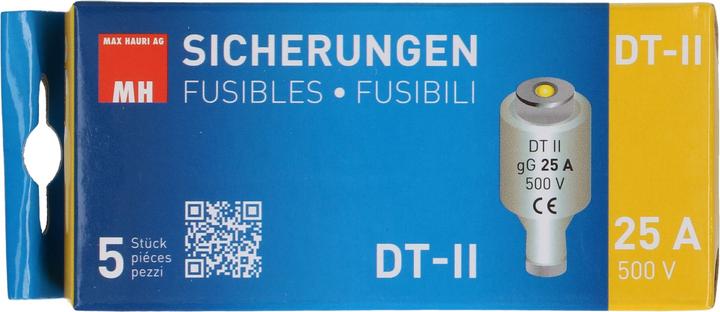 Actual product image Max Hauri Fuse (25 A)