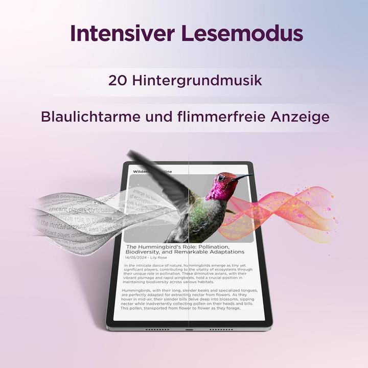 Produktbild Lenovo TB373FU (nur WLAN, 12.70", 256 GB, Grey)