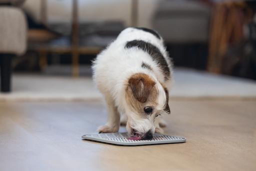Image du produit Karlie Tapis à lécher Ava (Jouet d'occupation chien)