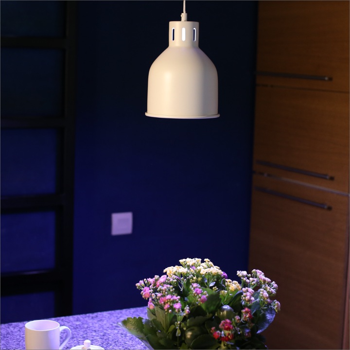 Image du produit Venso Saga (LED, 230 V)