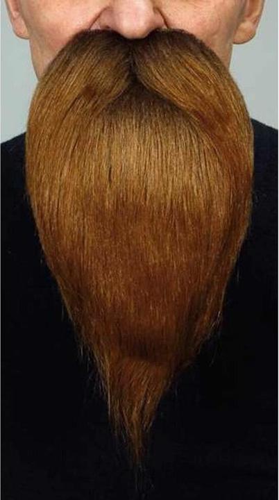 Actual product image My Other Me False beard chestnut