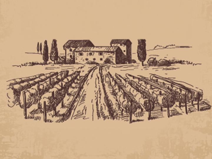 Actual product image Smartbox Wine tour in Europe (2 pers.)