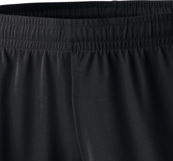 Actual product image Erima Classic 5-C Shorts (Frequency band 38 (2600 MHz))