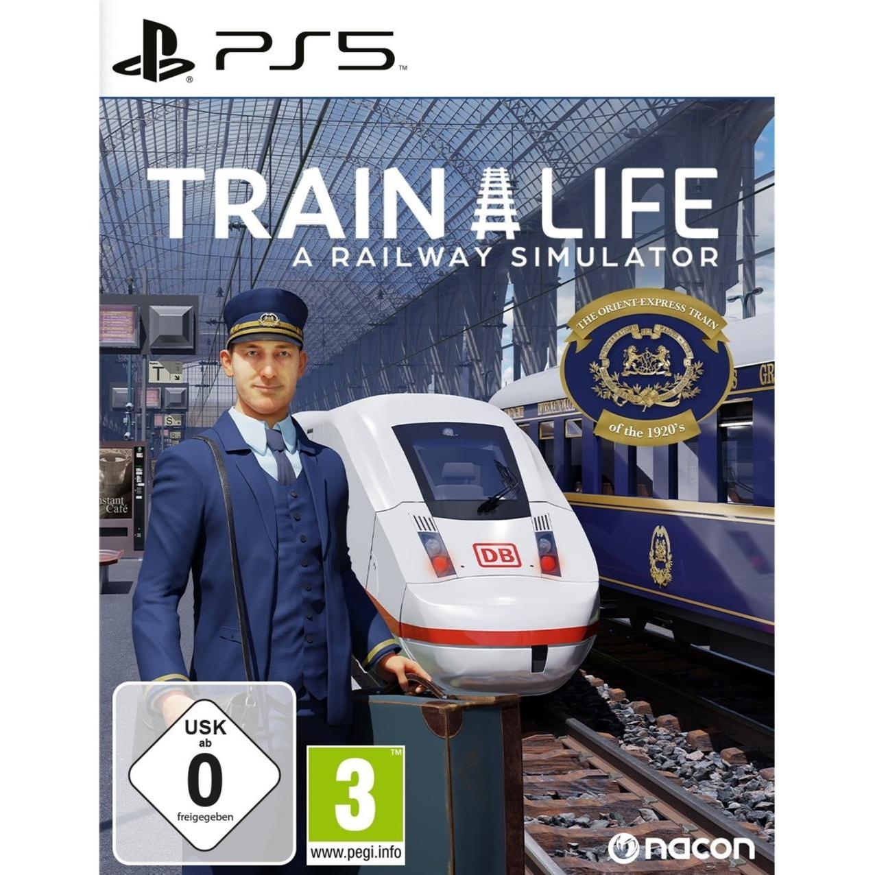 Nacon Gaming , Train Life: A Railway Simulator