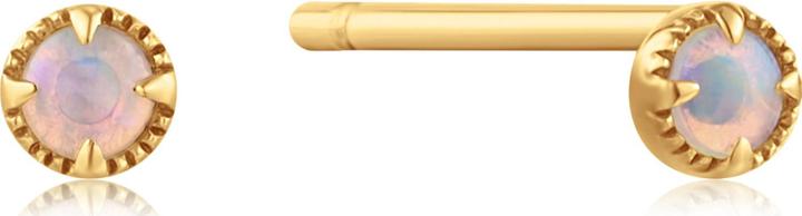 Image du produit Ania Haie Boucles d'oreilles en or 14kt Opal (Or jaune 14 carats avec opale)