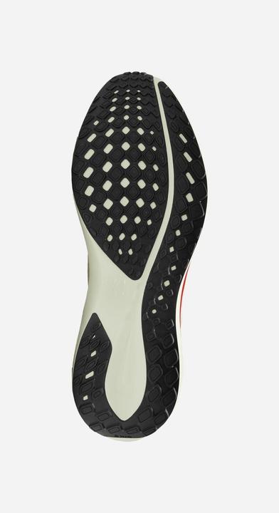 Produktbild Nike Pegasus 41 (44.5)