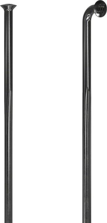 Image du produit DT Swiss Revolite
