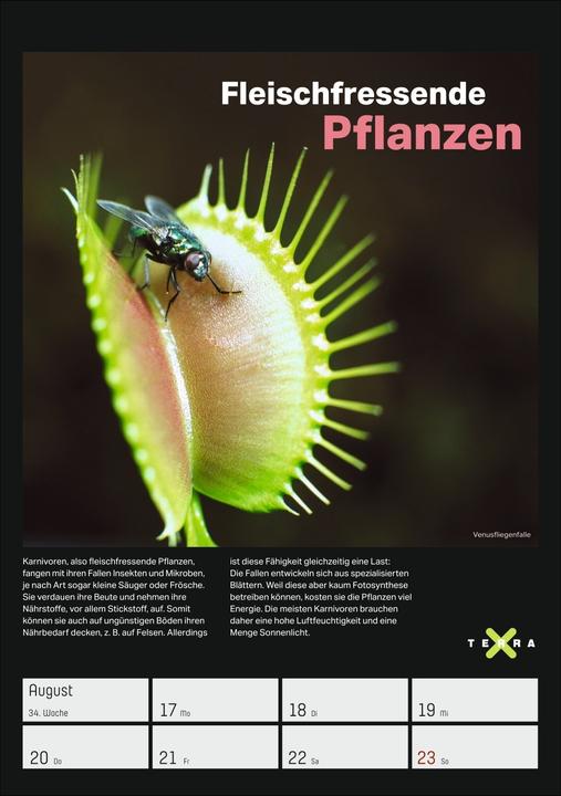 Produktbild Harenberg Terra X - Das Wunder Erde Wochenplaner 2026 (Harter Einband, Deutsch)
