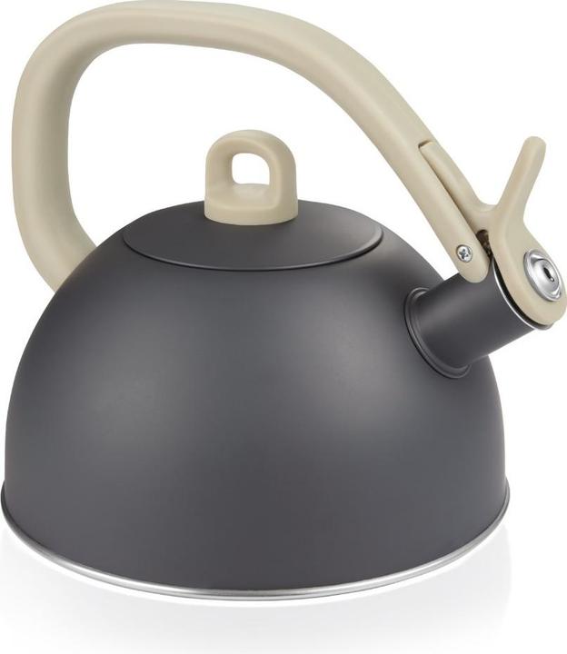 Tescoma Flötenkessel GrandCHEF 2,0 l (2 l)