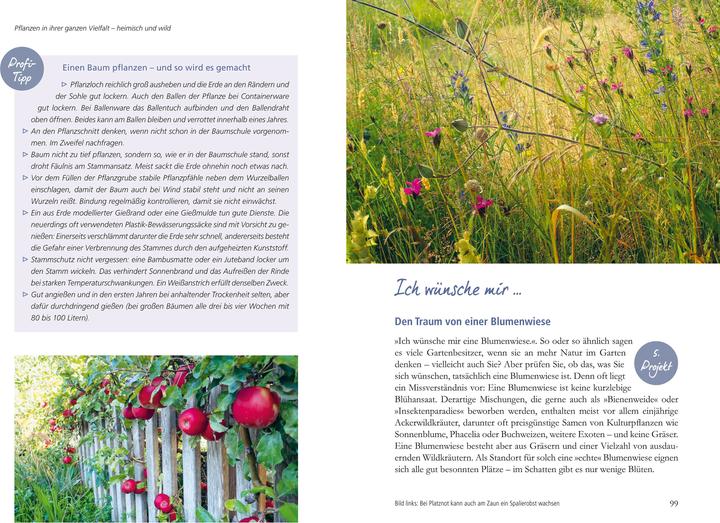 Produktbild Mein Garten wird ein Naturgarten (Deutsch, Helbig, Birgit, 2024)