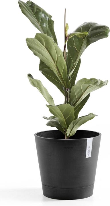 Produktbild Ecopots Venice (30 cm)