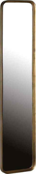 Actual product image Woood Mirror Slender Metal Antique Brass (31 x 145 cm)