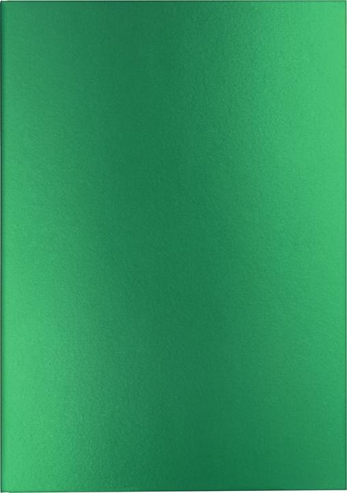 Image du produit Caran d'Ache Colormat-X Notizbuch (21 x 15 cm, À rayures, Couverture rigide)