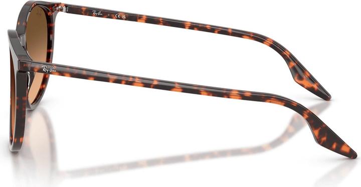 Produktbild Ray Ban RB2204