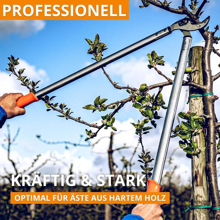 Produktbild Löwe 22 Profi Amboss 80 cm