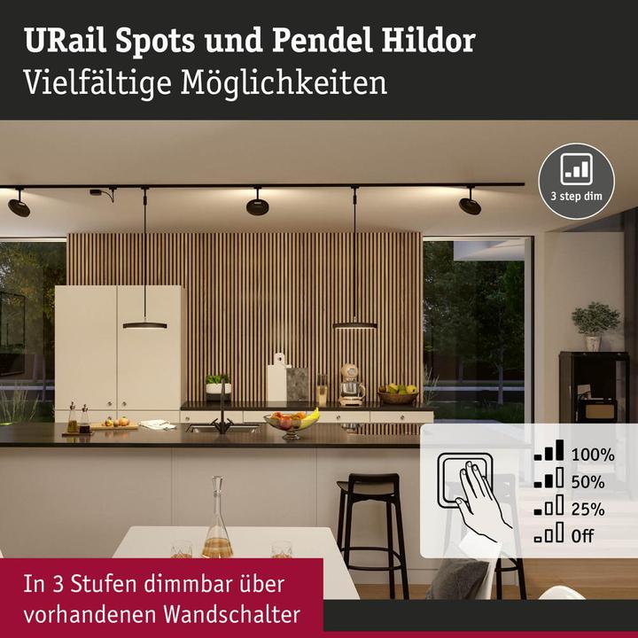 Produktbild Paulmann URail Pendel Hildor (850 lm)