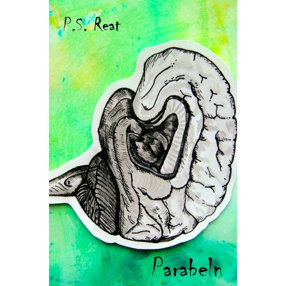Parabeln, Belletristik von P. S. Reat
