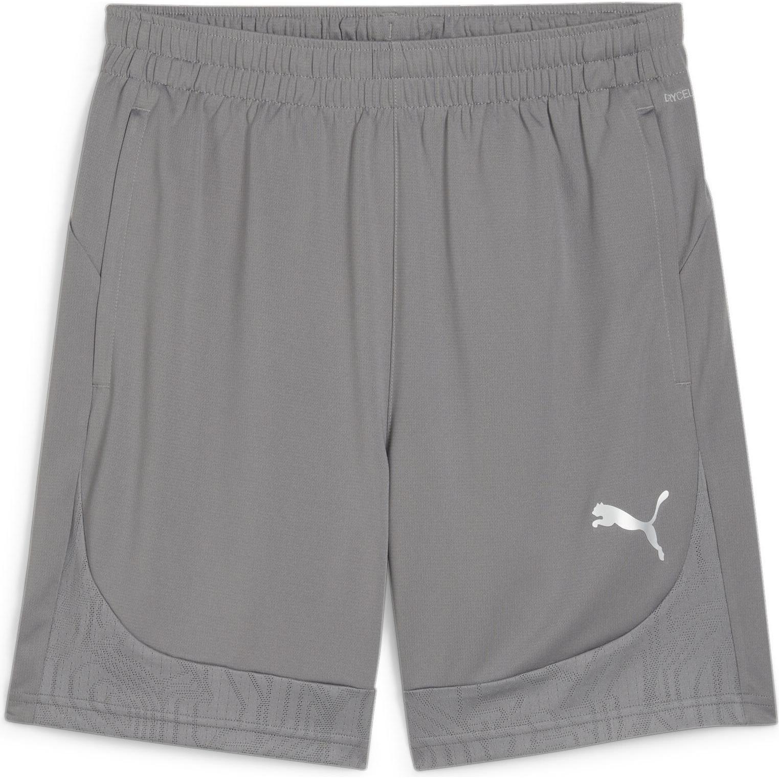 Puma, Herren, Sporthose, teamFINAL Training Shorts (L), Grau, L