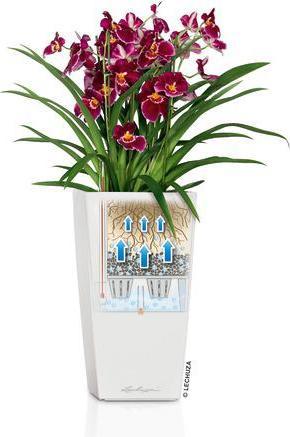 Produktbild Lechuza Cubico Color (22 cm)