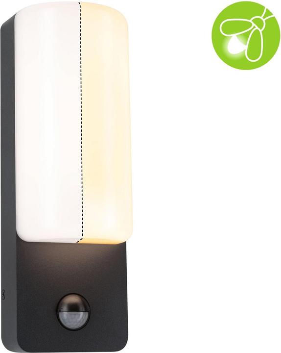 Immagine prodotto Paulmann Bonnie (560 lm, IP44)