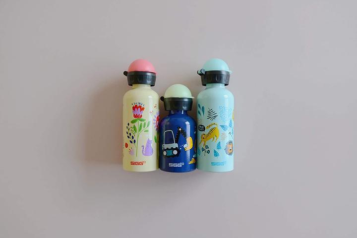 Actual product image Sigg Bottles (0.30 l)
