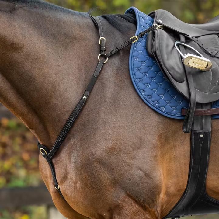 Image du produit Dy'on Collier de chasse pour cheval à pont