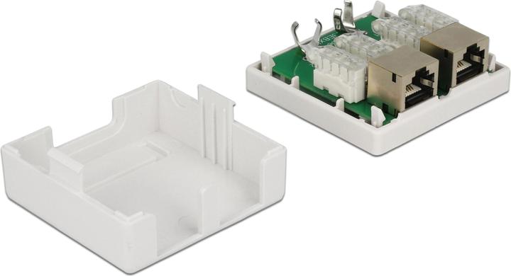 Actual product image Delock RJ-45 Cat.6 housing: 2 port (Network Accessories)