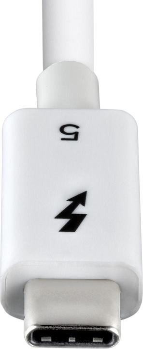 Produktbild StarTech .com TBLT5MM80CM240WWH, Männlich, Männlich, 0,8 m, Weiss, Nickel, 120 Gbit/s (0.80 m, USB 3.2 Gen 1, 240 W)