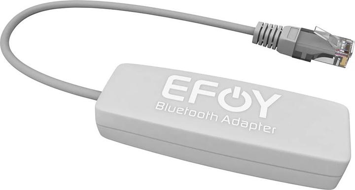 Actual product image EFOY 80 BT (40 W)