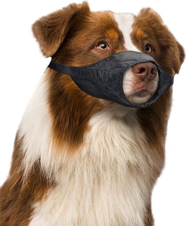 Actual product image EBI Safety Dog Muzzle (Dog, General)