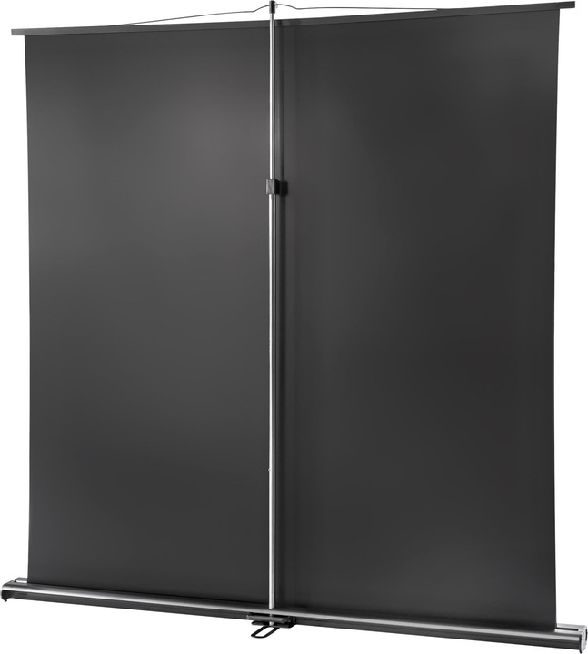Actual product image Celexon Ultramobile Professional (91", 16:10)