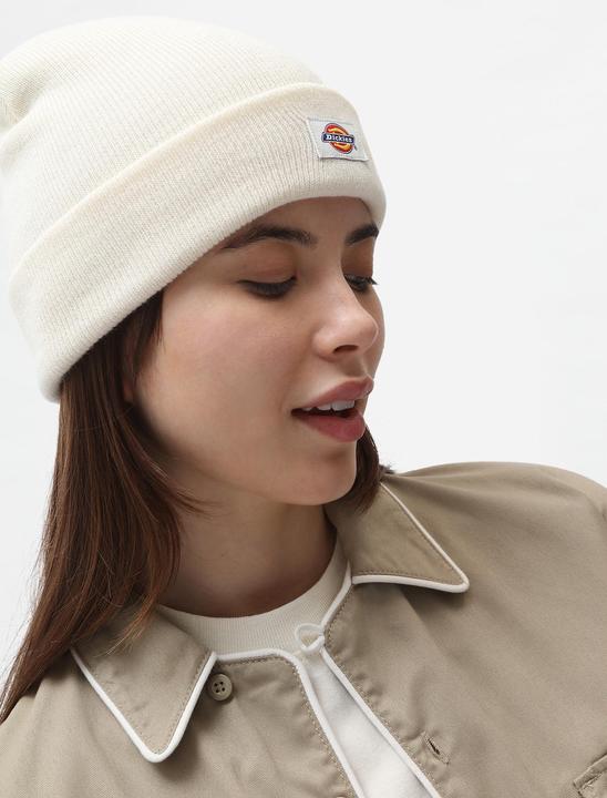 Image du produit Dickies Gibsland