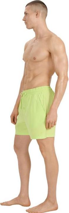 Image du produit 4F Herren-Badeshorts (M)