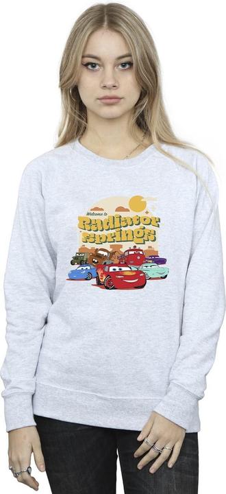 Produktbild Disney Cars Radiator Springs Group Sweatshirt (L)