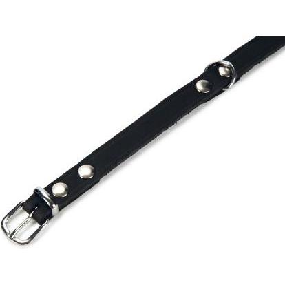 Thumbnail - Beeztees BZ LEDERHALSBAND SCHWZ 42X16 (42, Hund, Allgemein), Halsband + Leine