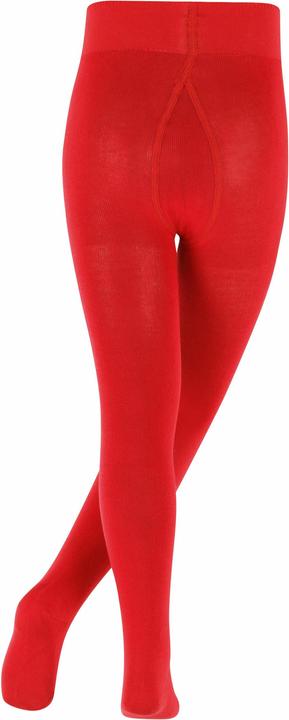 Actual product image Falke Family TI (80 - 92)