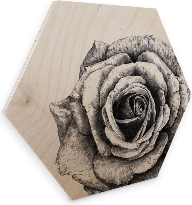 Image du produit Trenddeko Rose (35 x 30 cm)