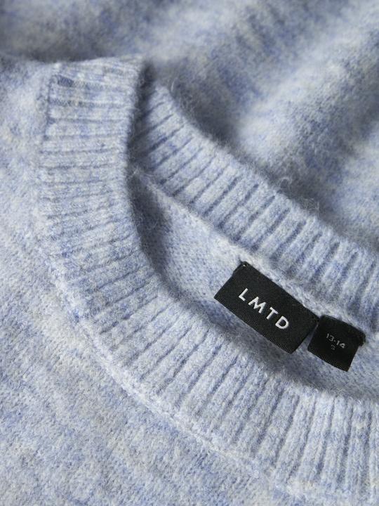 Produktbild Lmtd Regular Fit Strickpullover (146)